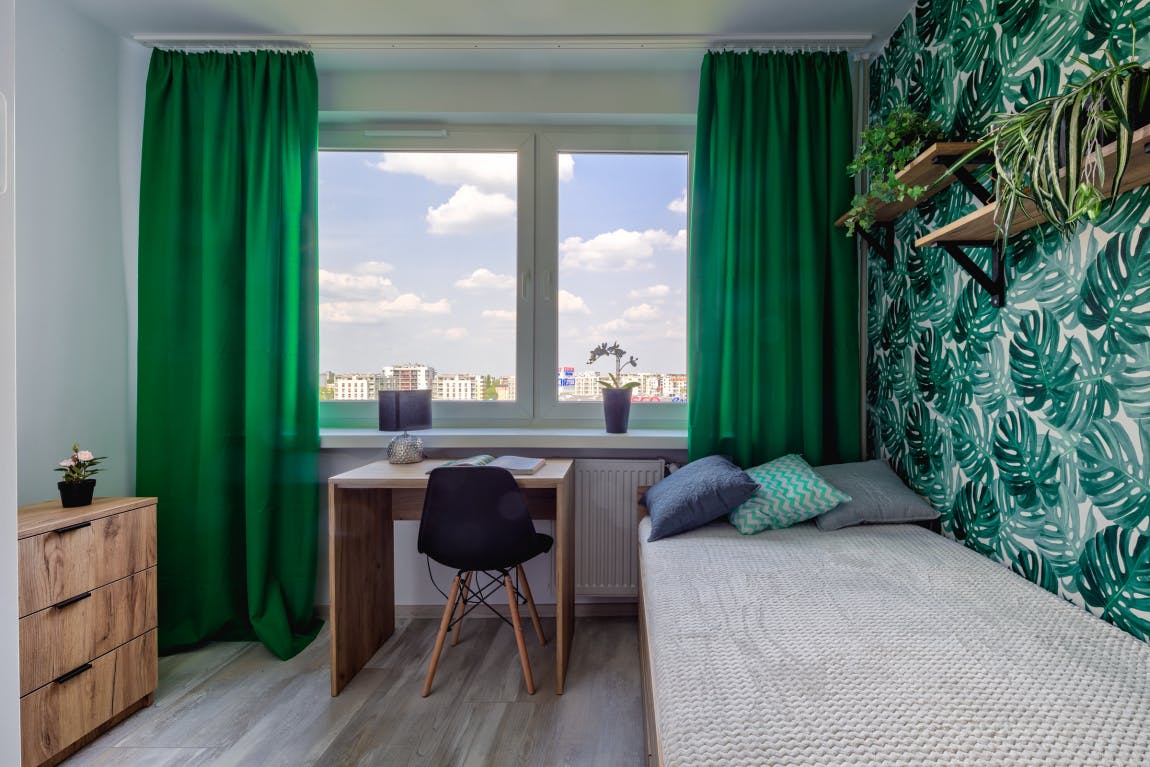 Czumy, Warsaw preview