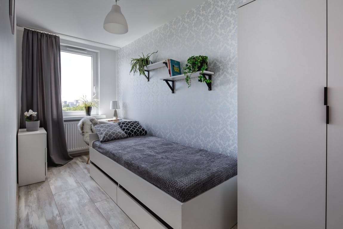 Czumy, Warsaw preview
