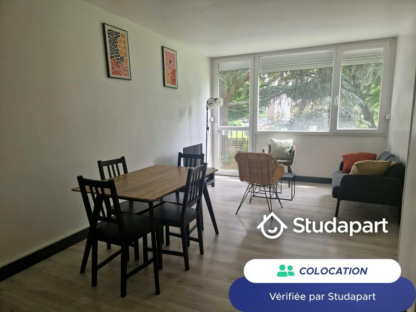 Private room for rent on Rue Henri Dunant, Lille - Vue 5