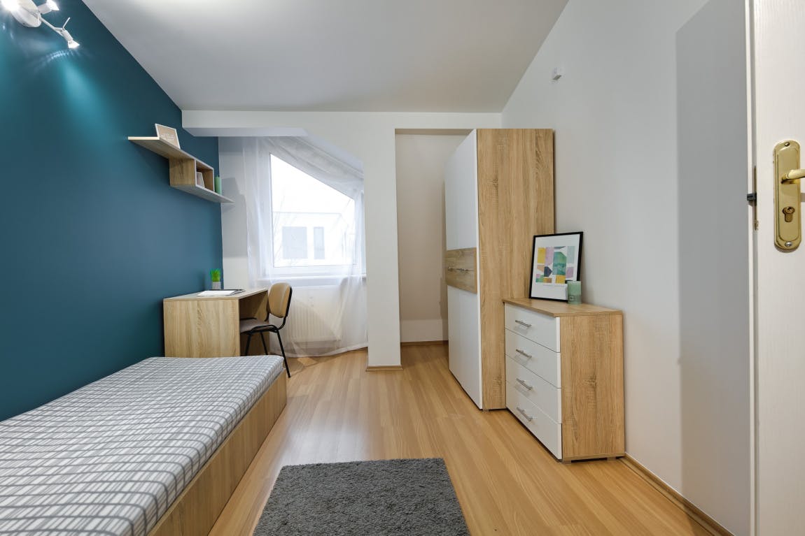 Zięby, Warsaw preview