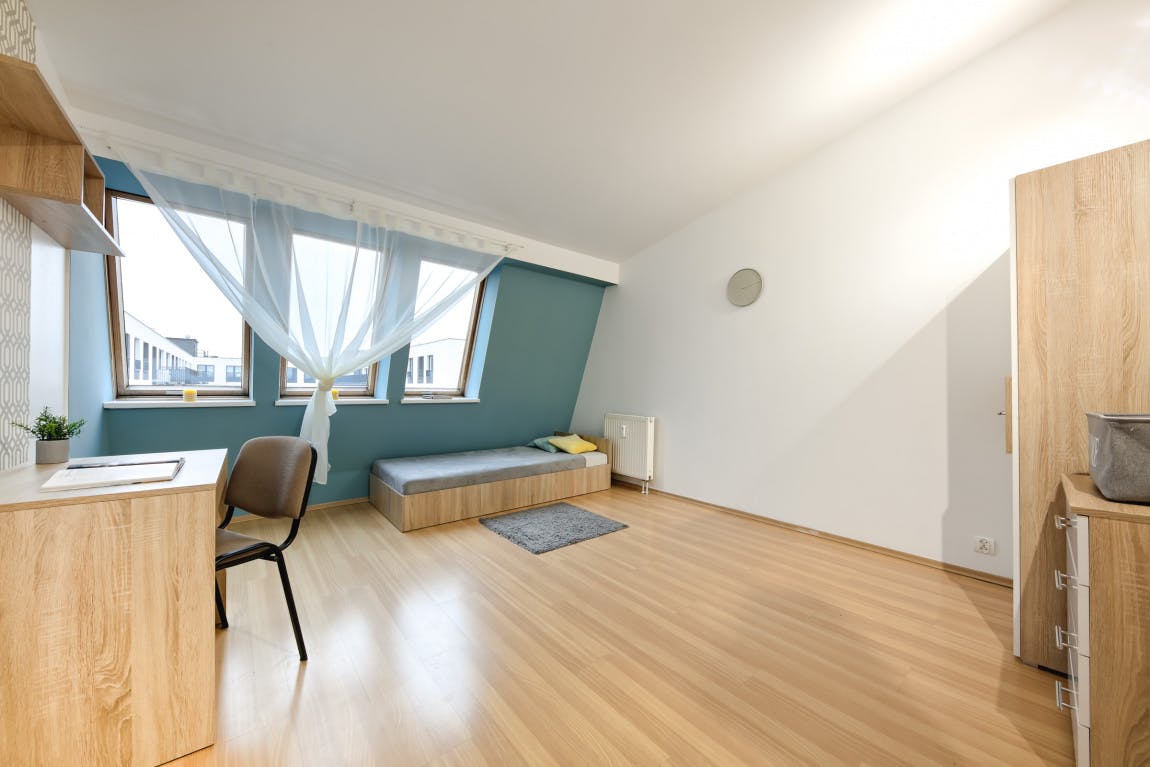 Zięby, Warsaw preview