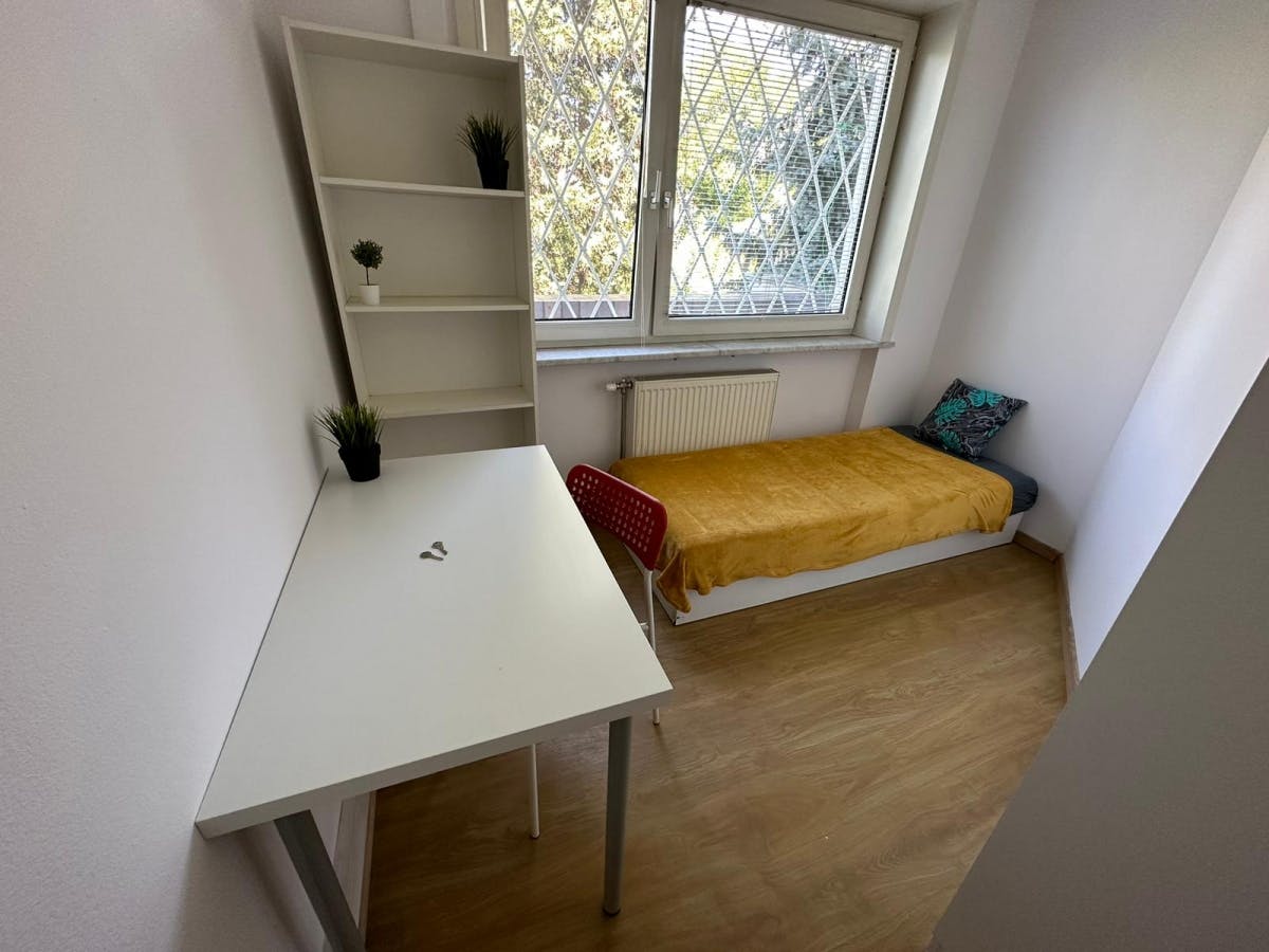 Wita Stwosza, Warsaw preview