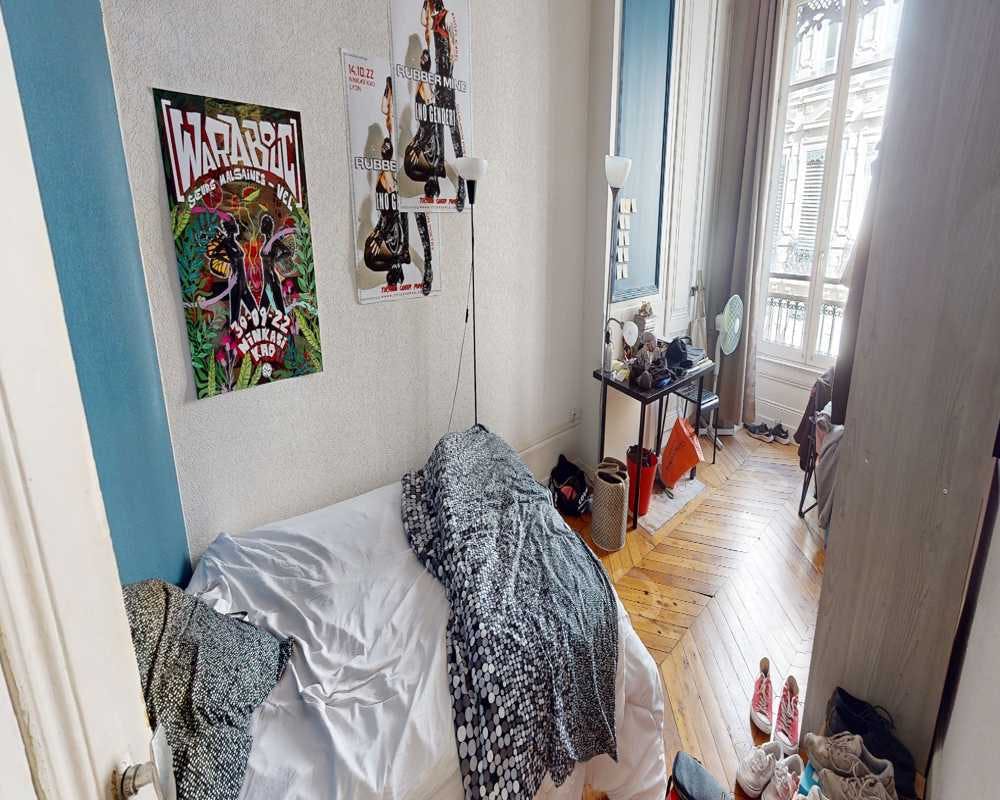 Rue du Président Édouard Herriot, Lyon preview