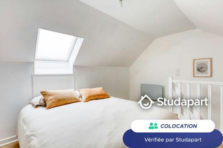 Private room for rent on Rue Barthélémy Delespaul, Lille - Plus