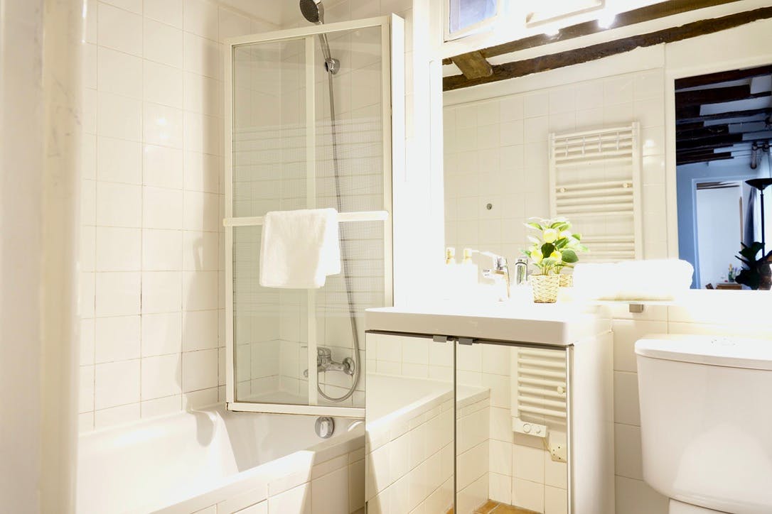 1-Bedroom Apartment in Rue Broca, Paris (1720648) room image 10
