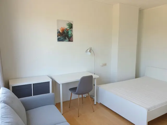 Private room in Lepelaarsingel, Rotterdam (1720697) room image 2