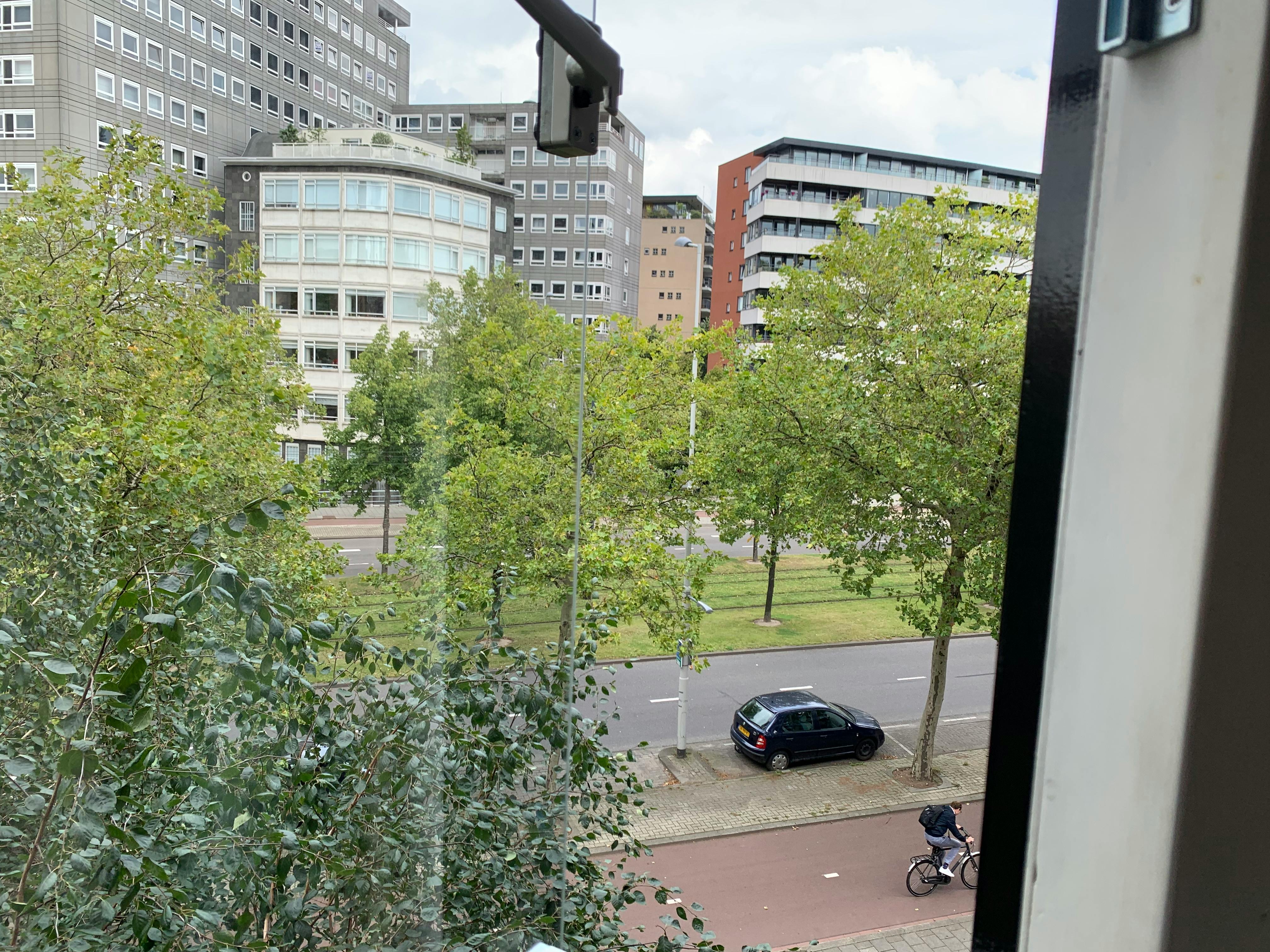 Private room in Goudsesingel, Rotterdam (1720902) ROOM 2