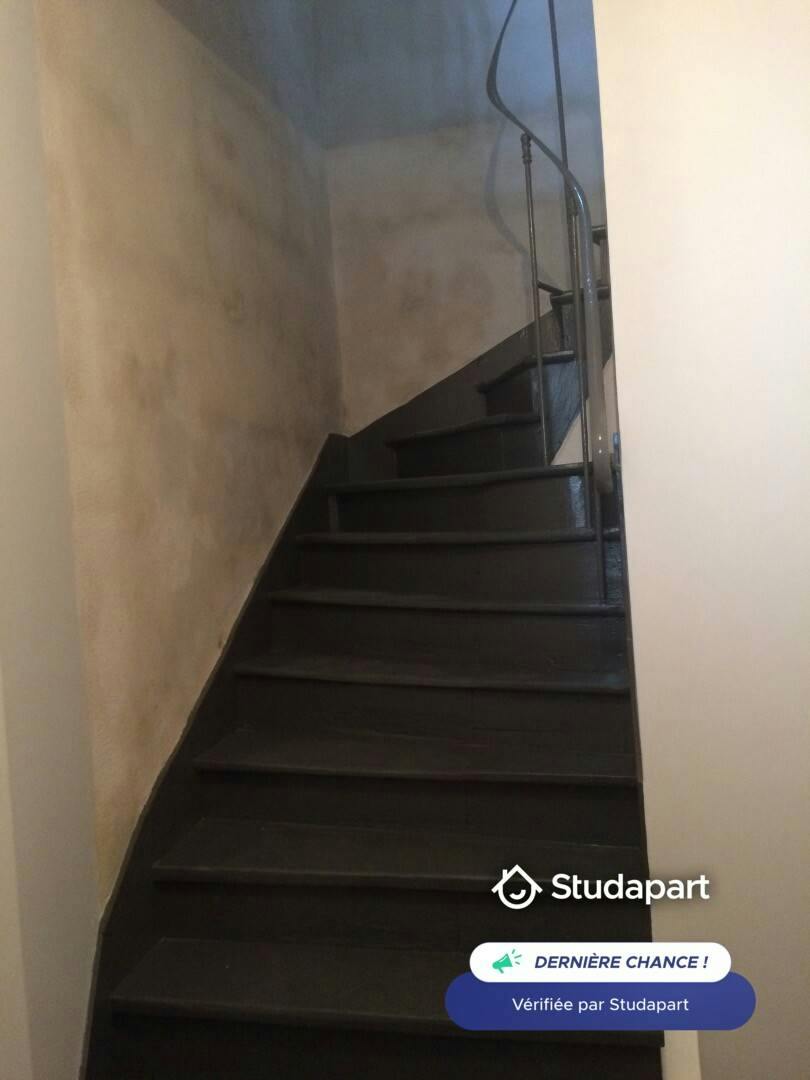 Appartement – Bordeaux, Saint-Genès, Nansouty - Saint-Genès - Vue 4