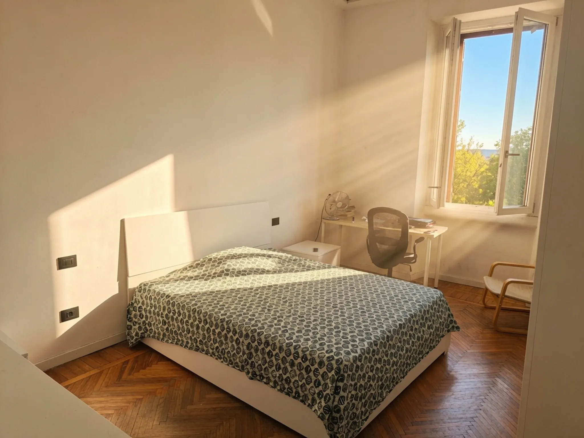 Viale Isonzo, Milan preview