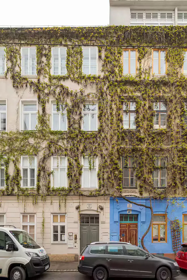 1-Bedroom Apartment in Sandwirtgasse, Vienna (1721467) room image 10