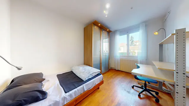 Private room in Rue des Bienvenus, Villeurbanne (1721639) room image 1
