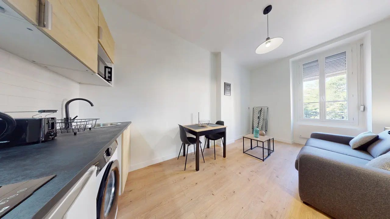 Apartment Villeurbanne — photo 6