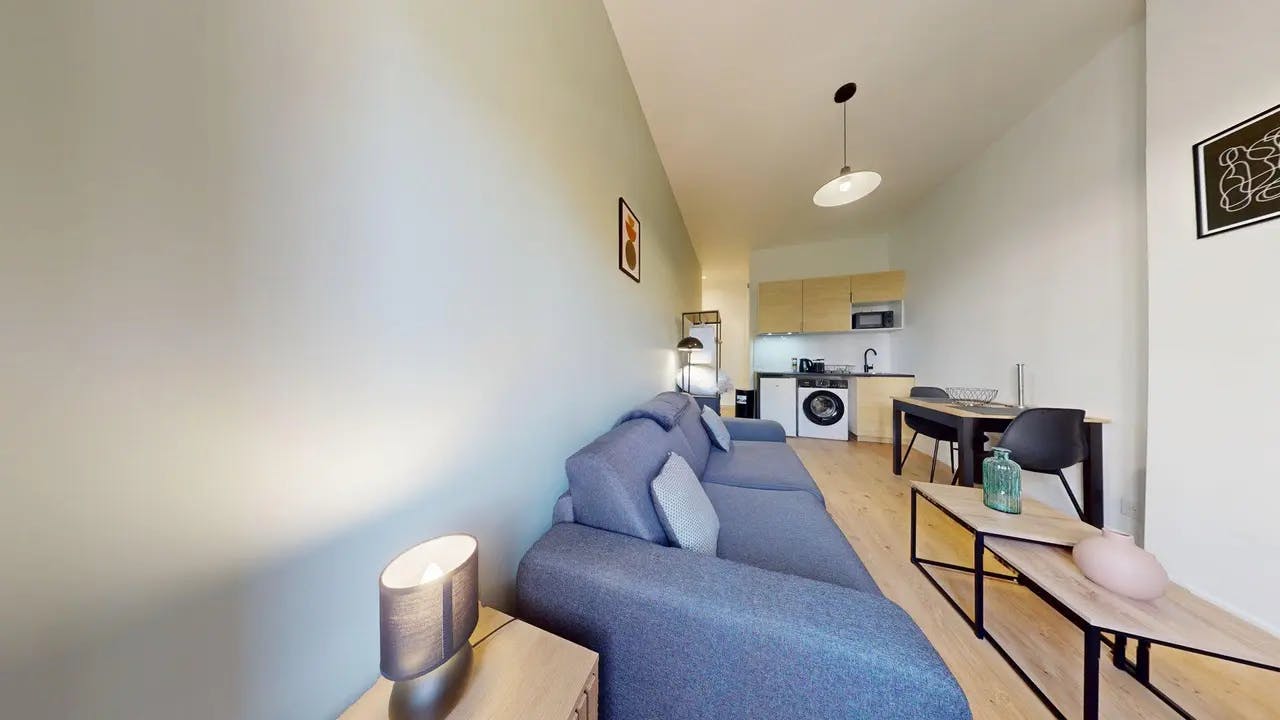 Apartment Villeurbanne — photo 4