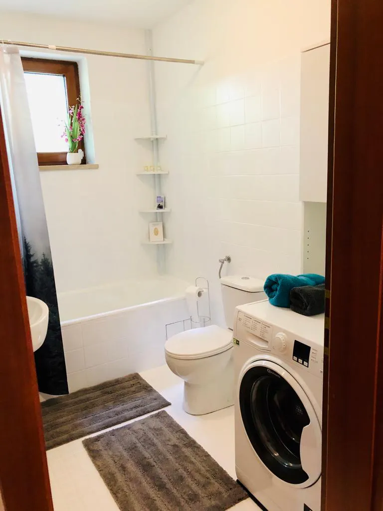 1-Bedroom Apartment in Veitsbronner Straße, Herzogenaurach (1721846) COMMON_AREA 1