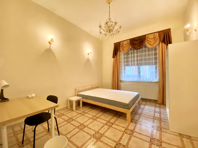 Private room in Rue de Robiano, Schaerbeek (1721851) room image 2