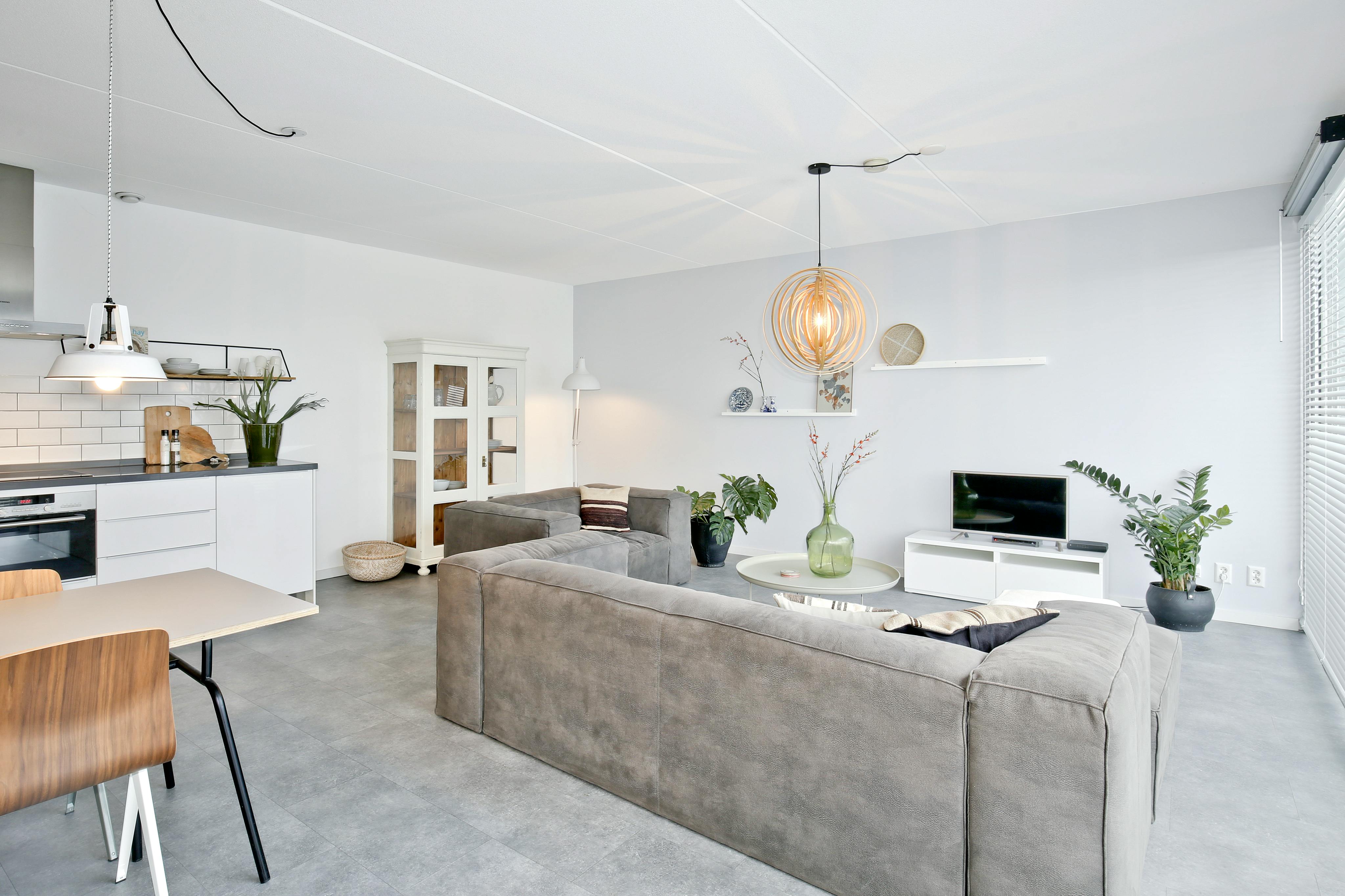 2-Bedroom Apartment in Leo Hornstraat, Amsterdam (1721877) ROOM 1