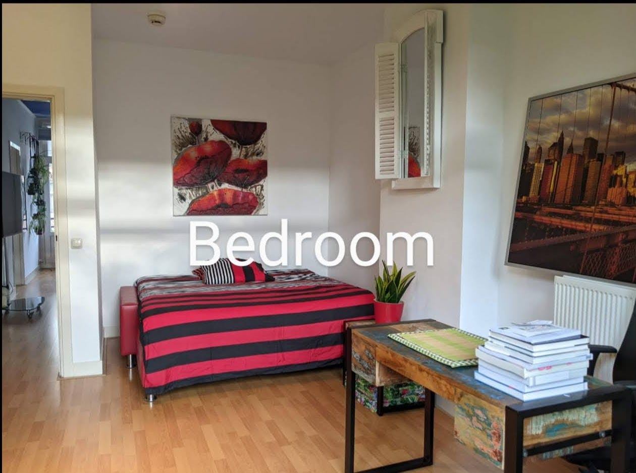 2-Bedroom Apartment in Admiraal de Ruijterweg, Amsterdam (1722030) ROOM 4