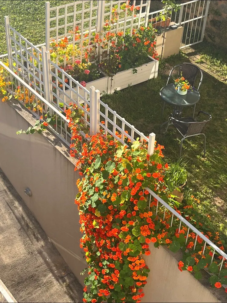1-Bedroom Apartment in Rua Cândido dos Reis, Vila Nova de Gaia (1722258) ROOM