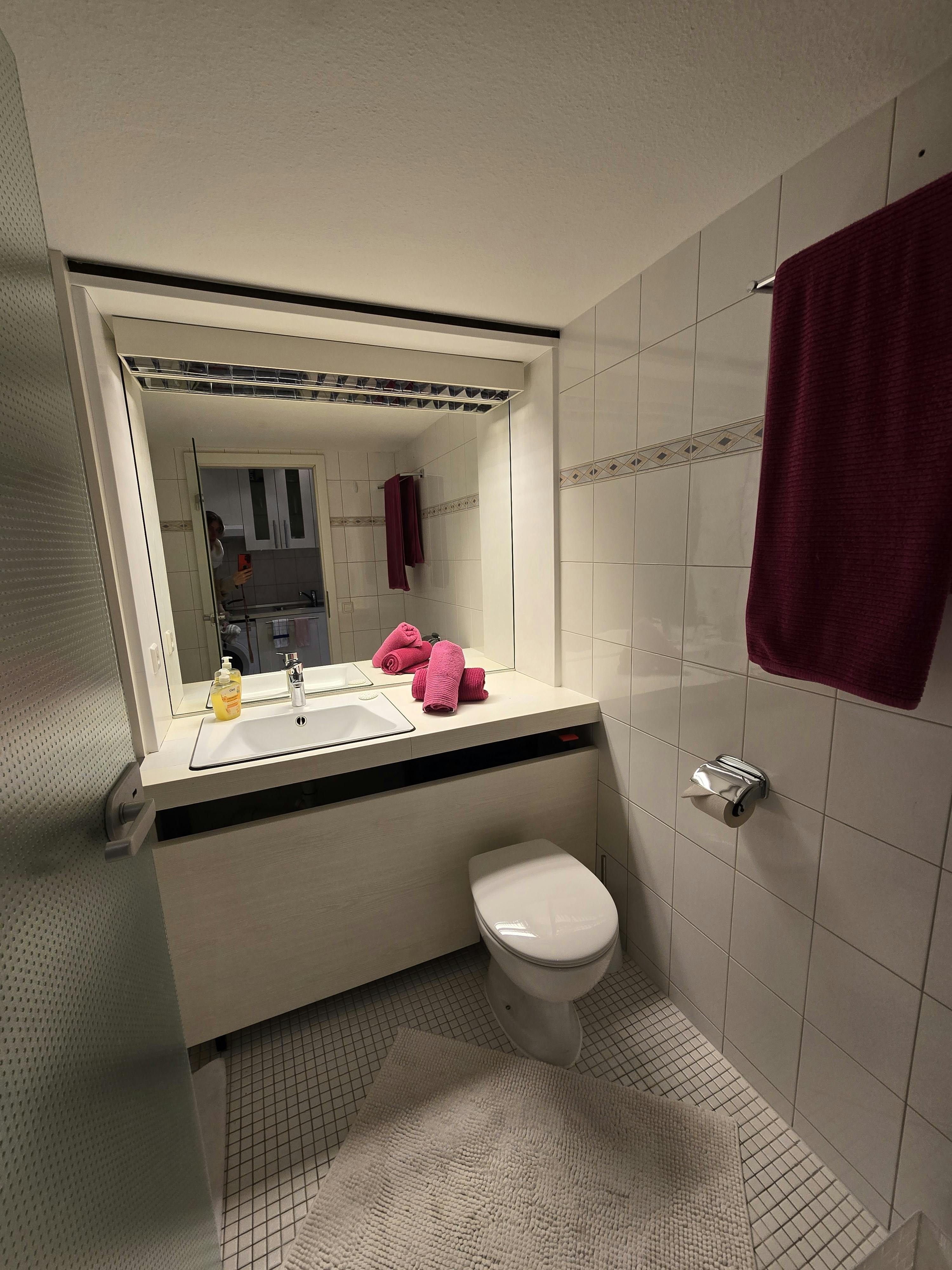 1-Bedroom Apartment in Plieninger Straße, Stuttgart (1722309) ROOM 4