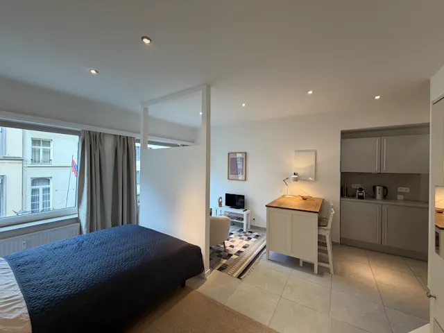Apartment in Rue Montoyer, Brussels (1722399) room image 10