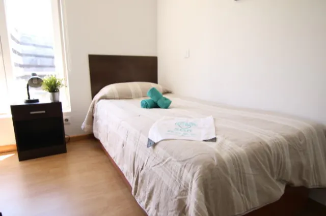 Private room in Paseo de San Francisco de Sales, Madrid (1722524) room image 4