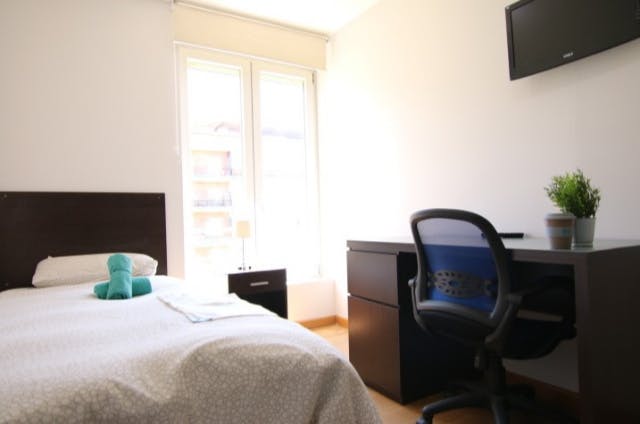 Private room in Paseo de San Francisco de Sales, Madrid (1722528) room image 2