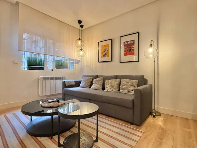 1-Bedroom Apartment in Calle de Lagasca, Madrid (1723101) room image 2