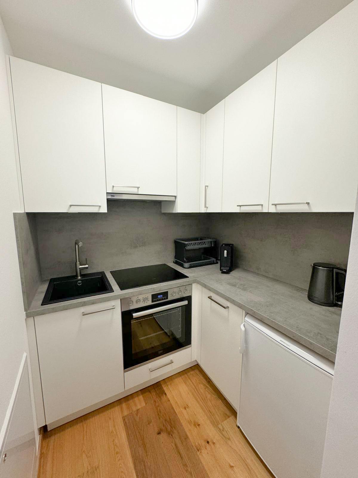 2-Bedroom Apartment in Siebertgasse, Vienna (1723364) ROOM 1