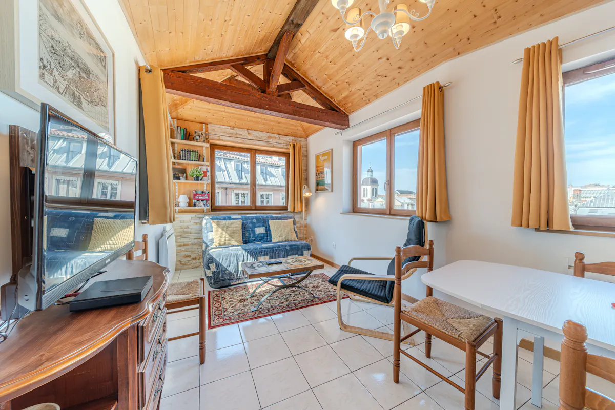 1-Bedroom Apartment in Rue Chavanne, Lyon (1723474) ROOM