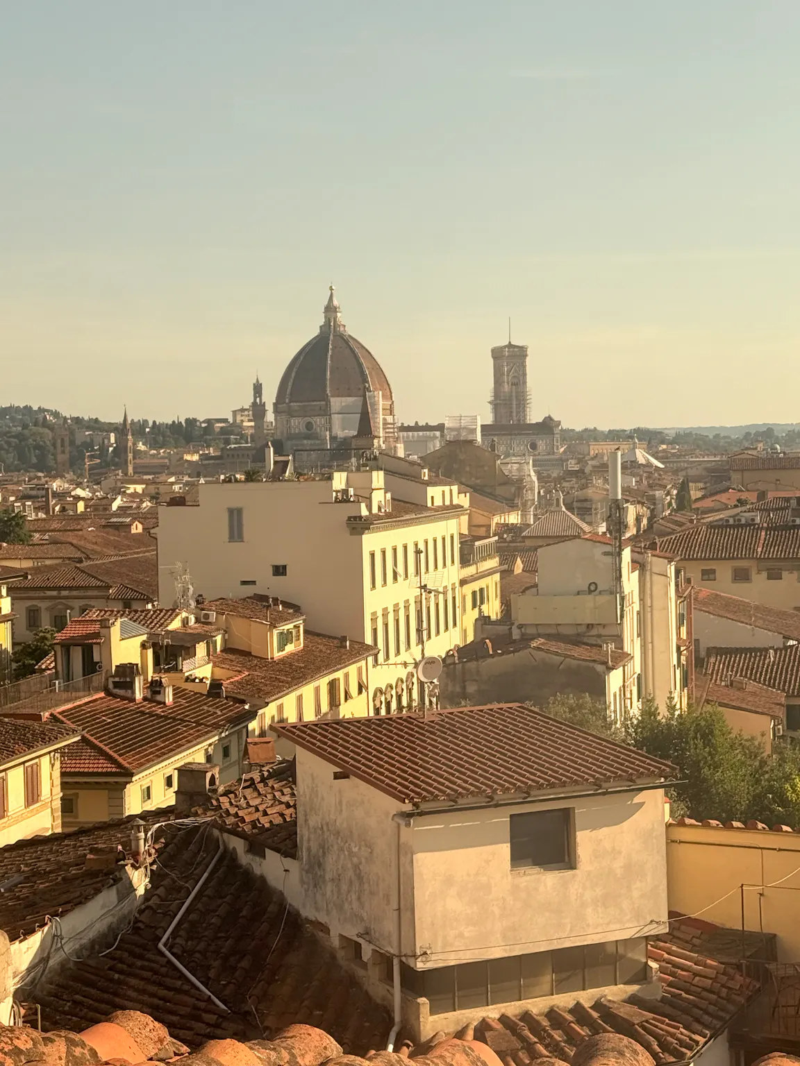 Apartment in Via Camillo Cavour, Florence (1724118) ROOM
