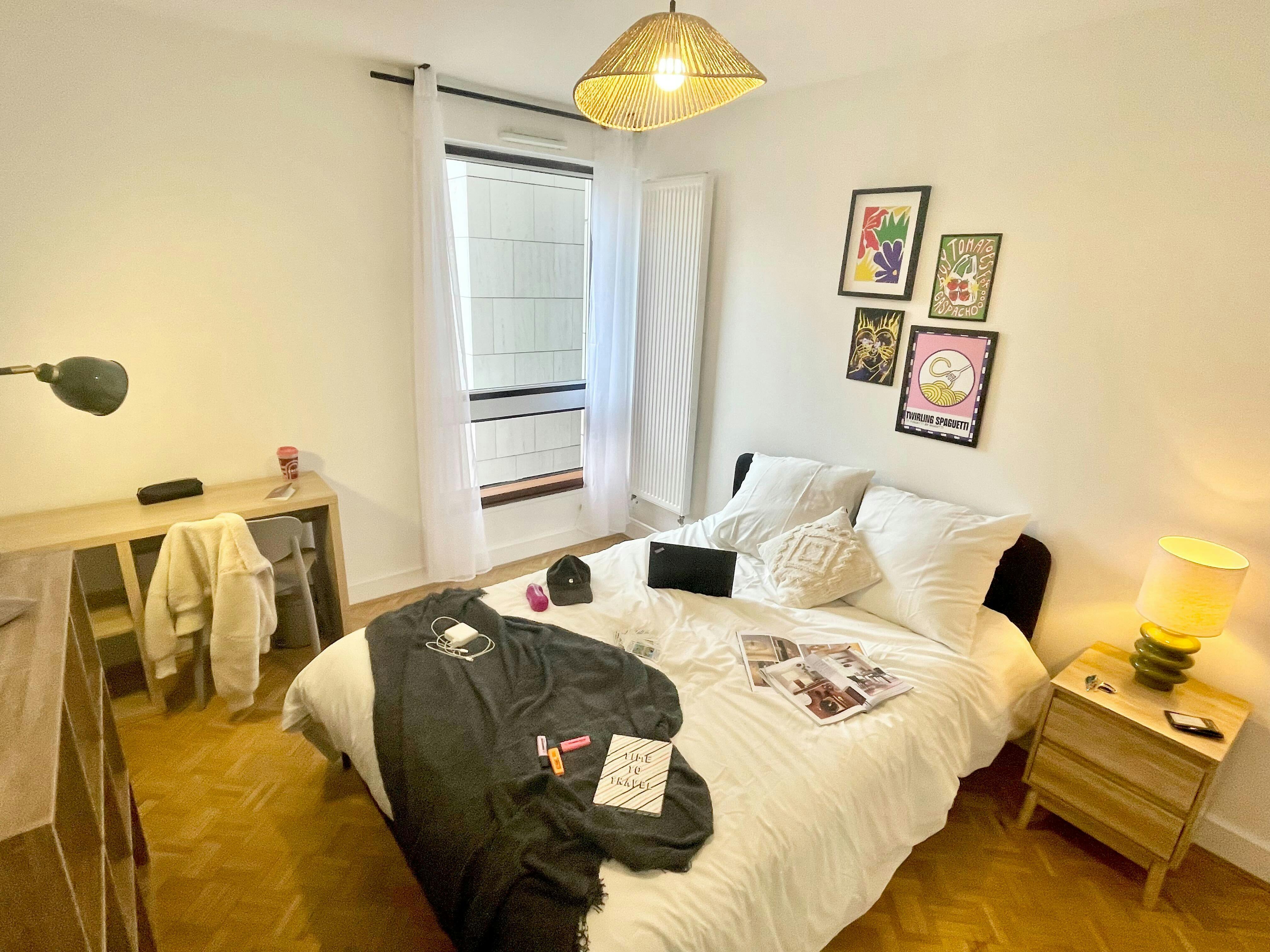 Private room in Rue Lecourbe, Paris (1724363) room image 1