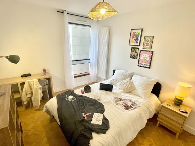 Private room in Rue Lecourbe, Paris (1724363) room image 1