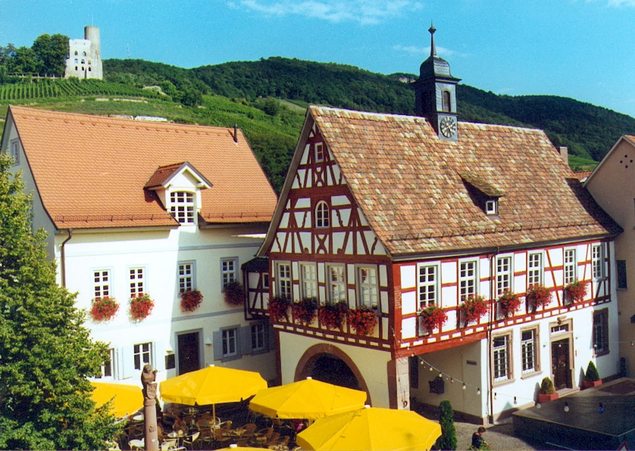 Image #1