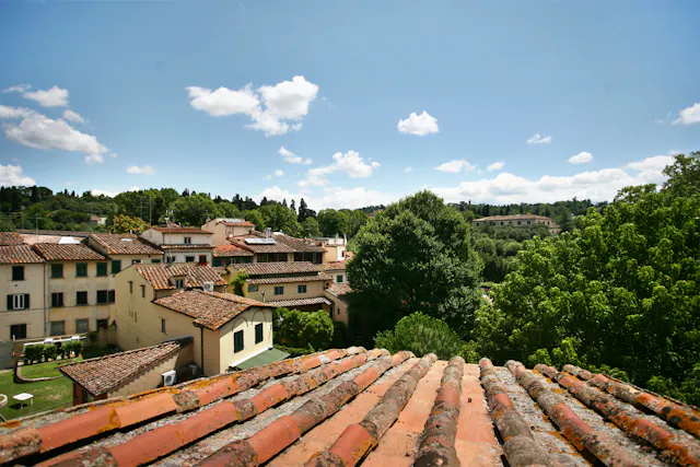 1-Bedroom Apartment in Via Romana, Florence (1724778) room image 1