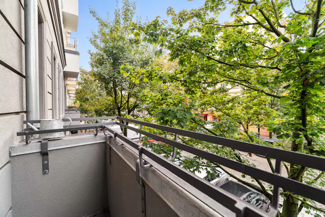 1-Bedroom Apartment in Dunckerstraße, Berlin (1725723) room image 10