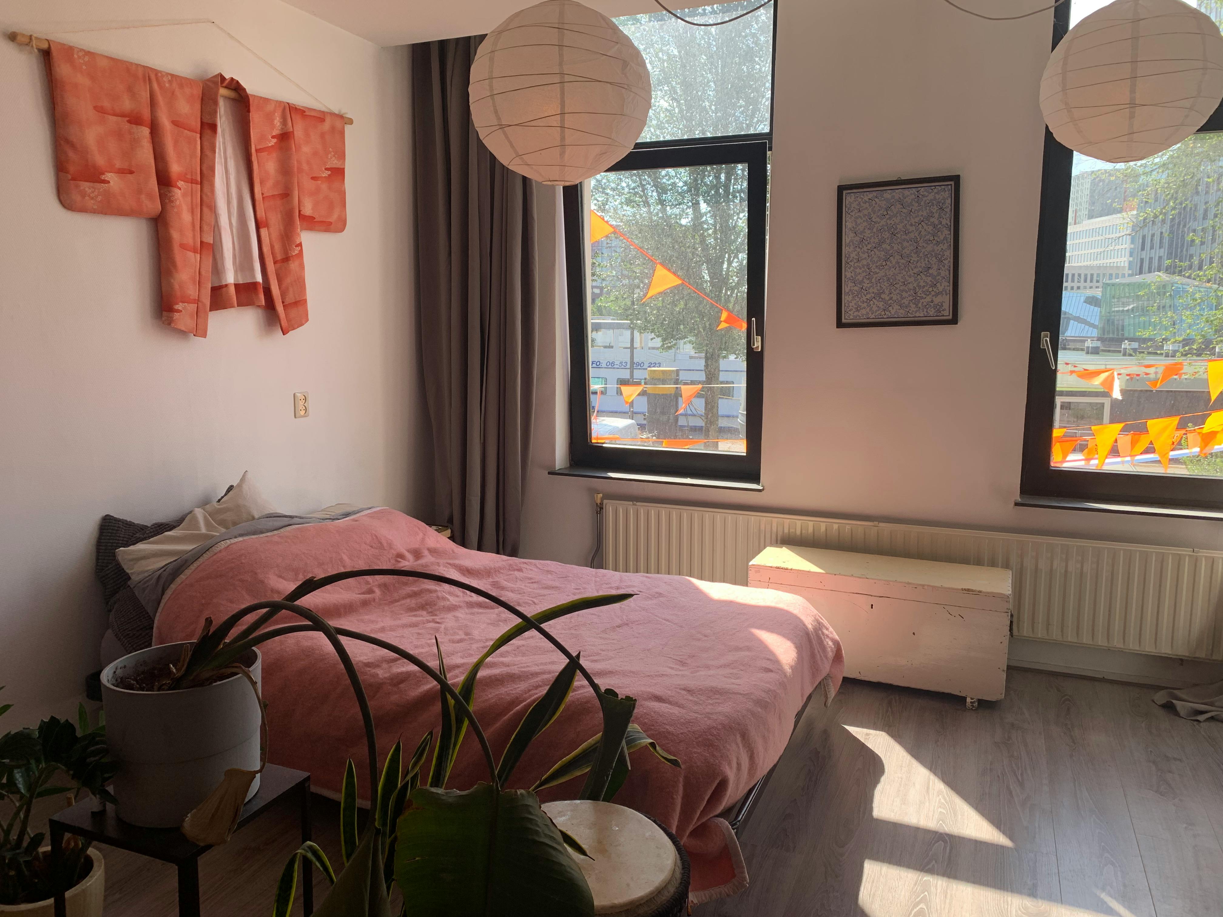 Private room in Prins Hendrikkade, Rotterdam (1725912) ROOM 1