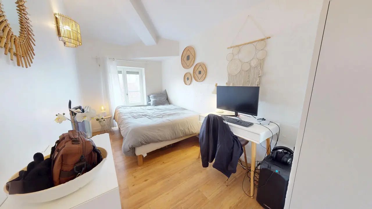 Private room in Rue Paul Bert, Lyon (1726202) room image 1