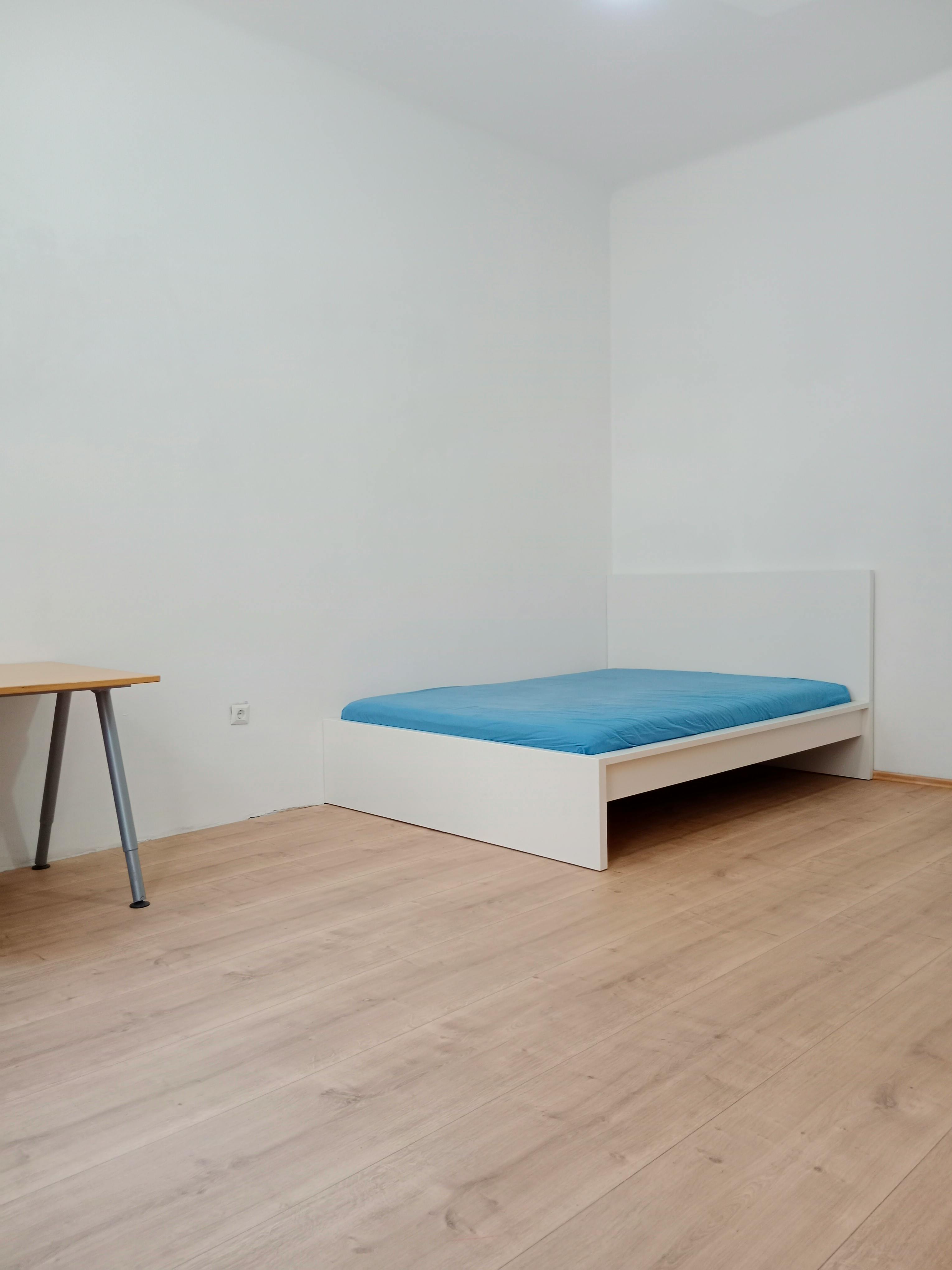 Private room in Erlachgasse, Vienna (1726486) ROOM 4