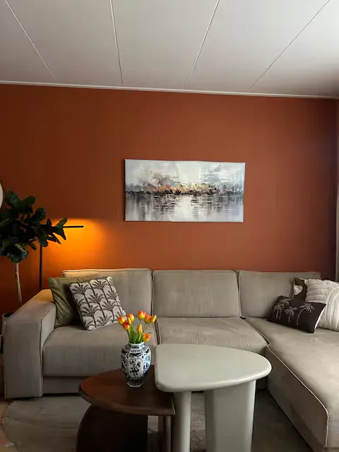 1-Bedroom Apartment in Willem Passtoorsstraat, Amsterdam (1726510) ROOM 1