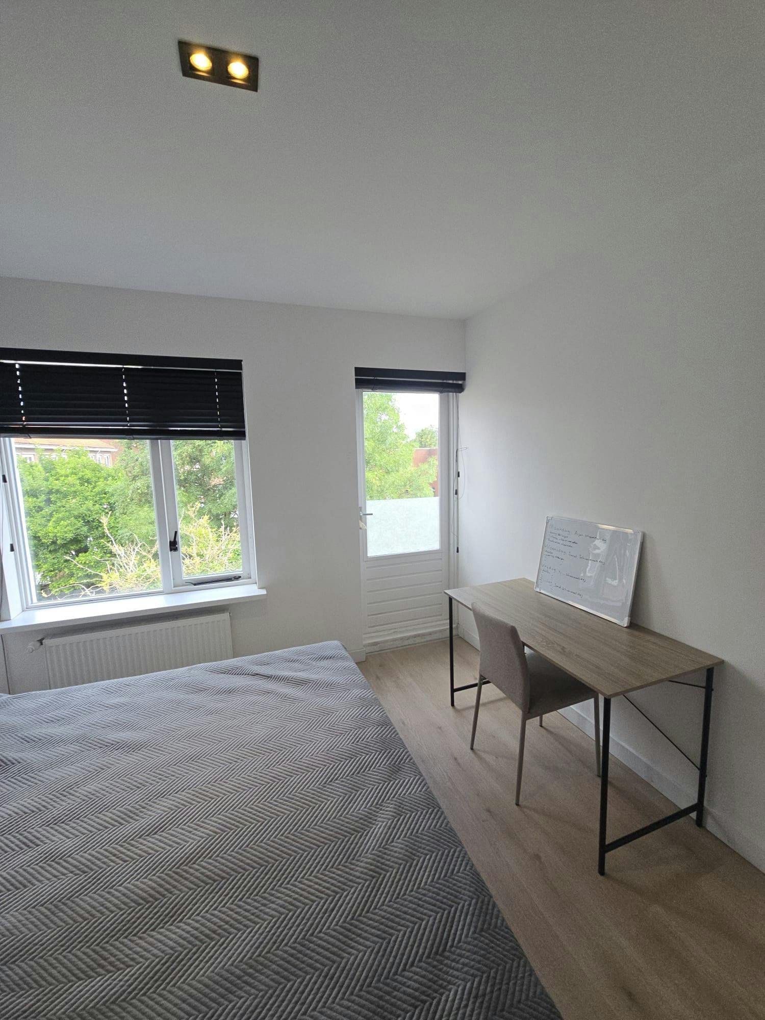 Private room in Kruizemuntstraat, Rotterdam (1726684) ROOM 2