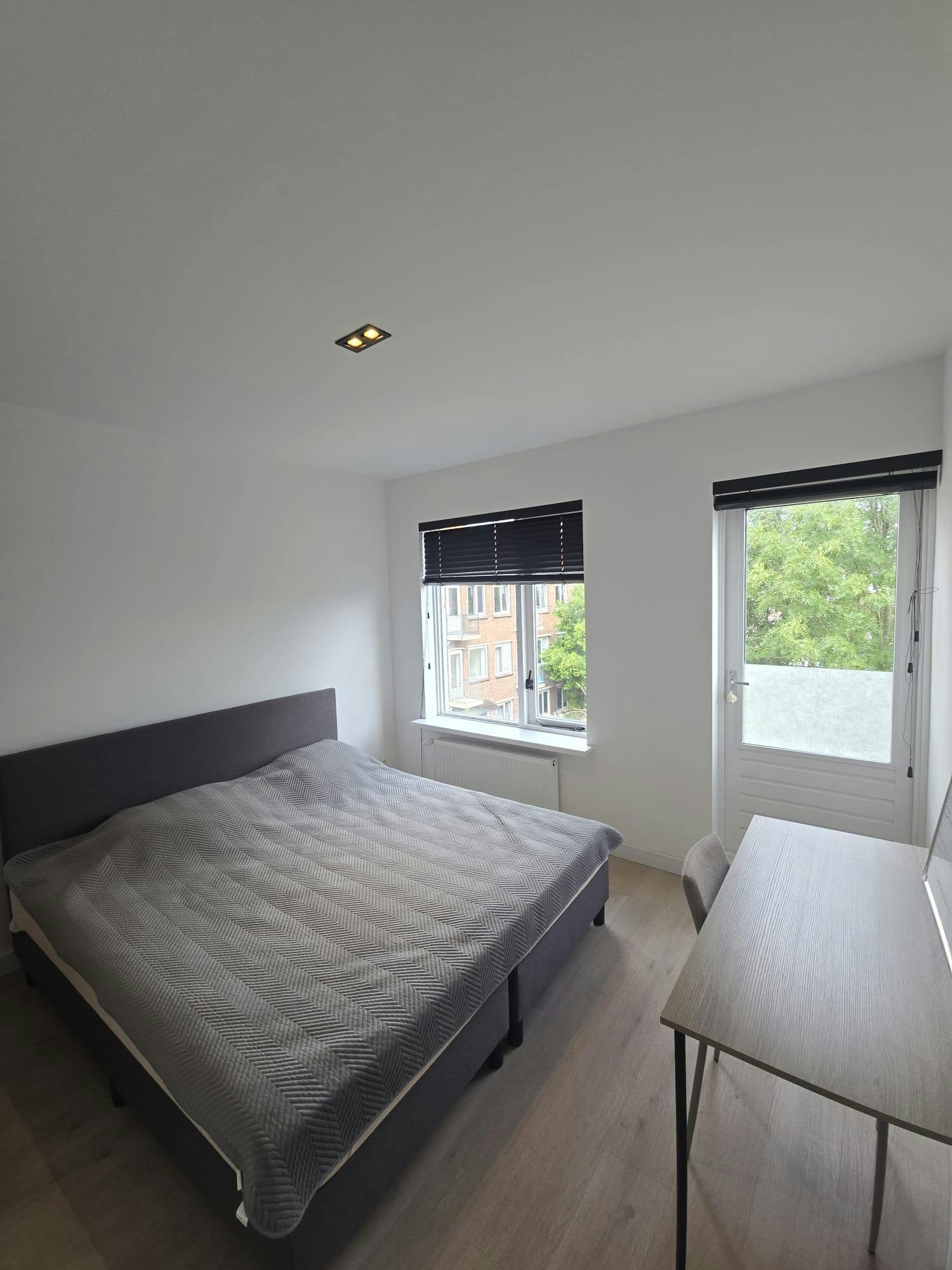 Private room in Kruizemuntstraat, Rotterdam (1726684) ROOM