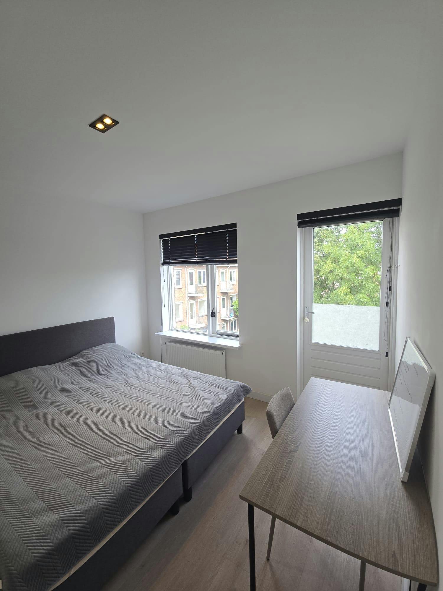 Private room in Kruizemuntstraat, Rotterdam (1726684) ROOM 3