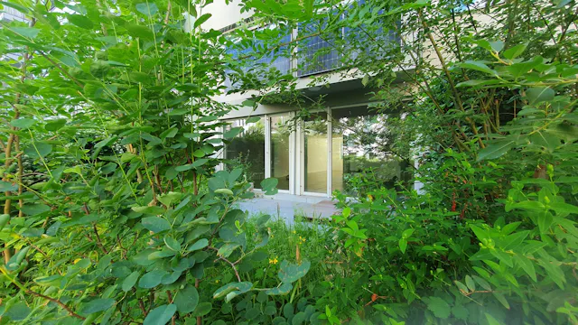 1-Bedroom Apartment in Haasestraße, Berlin (1727447) room image 2