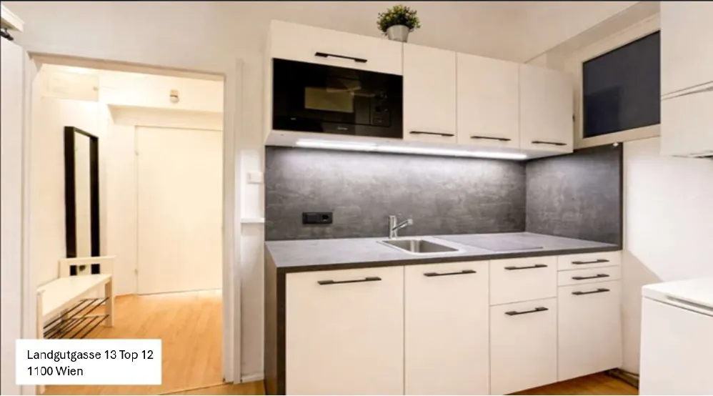 1-Bedroom Apartment in Landgutgasse, Vienna (1727456) ROOM 2
