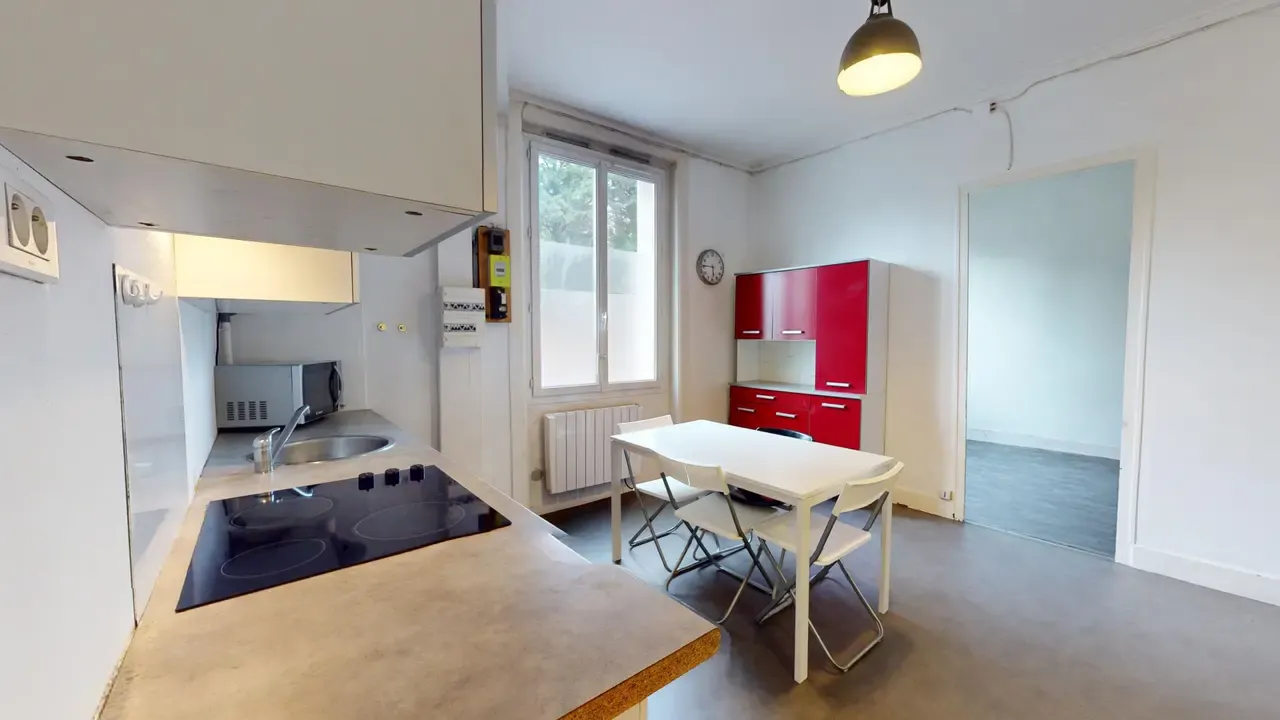 1-Bedroom Apartment in Rue de la Roche du Geai, Saint-Étienne (1727842) ROOM 1