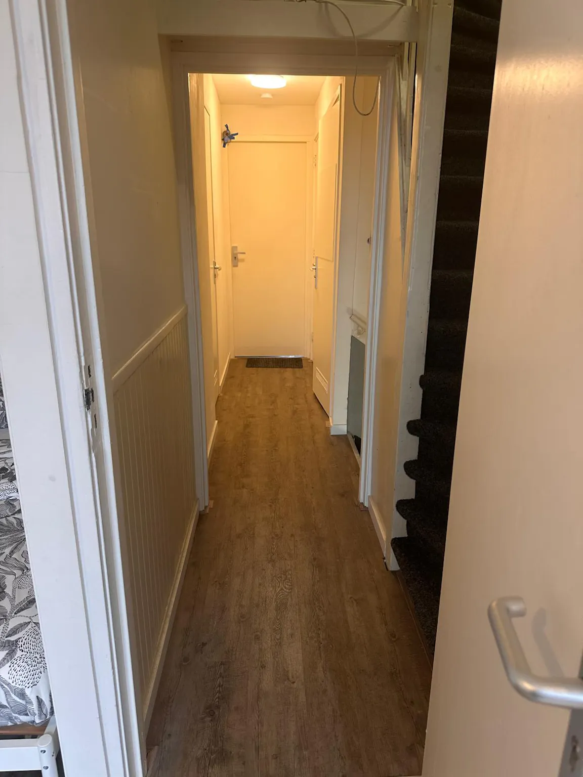 Apartment in Coolhavenstraat, Rotterdam (1727918) ROOM 2