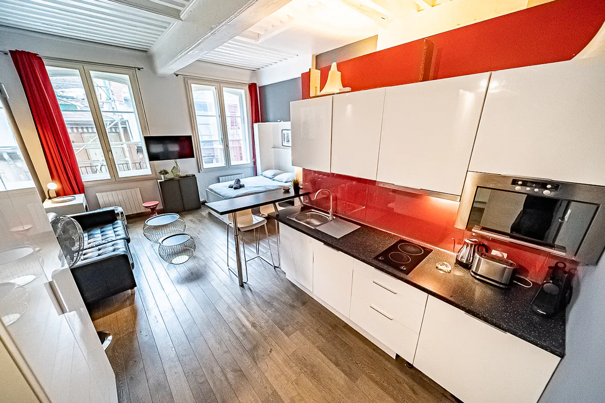 Apartment in Rue Désirée, Lyon (1728006) ROOM