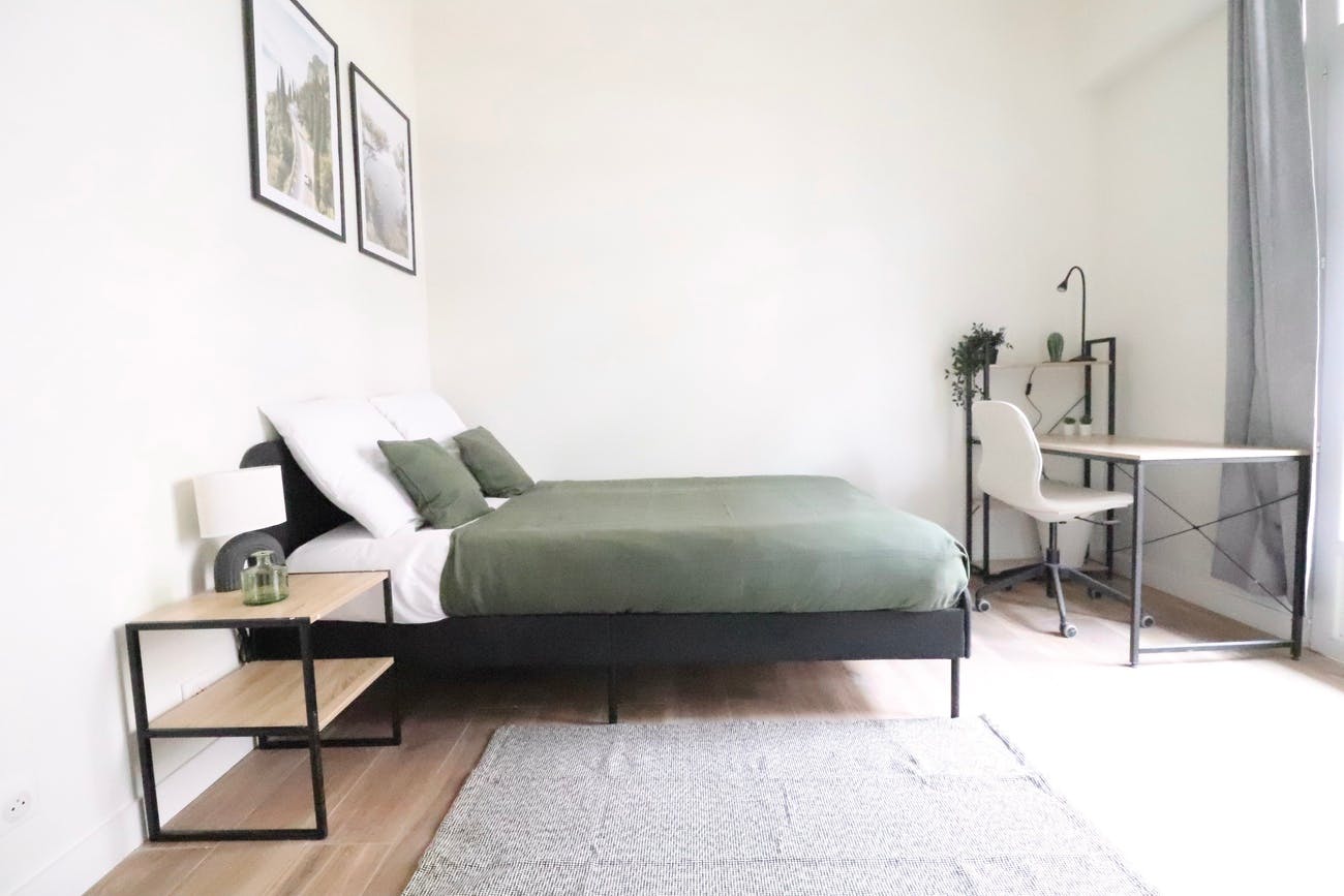 Private room in Rue Paul Reboux, Nice (1728093) room image 1
