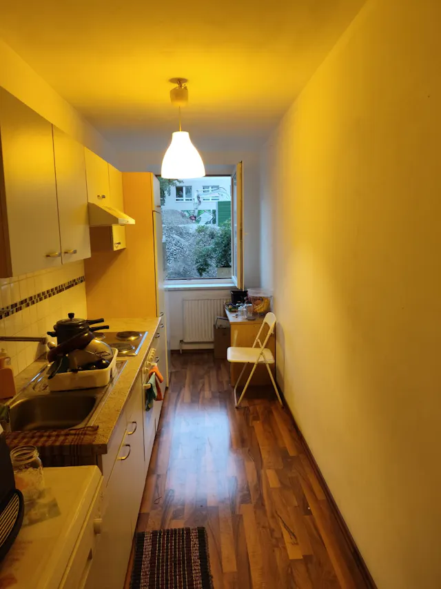 1-Bedroom Apartment in Durchlaufstraße, Vienna (1728201) room image 8