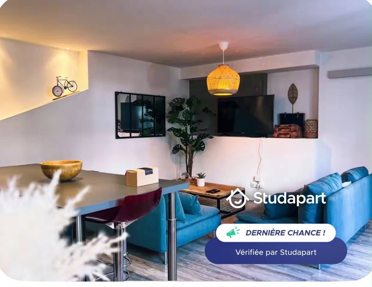 Appartement à louer pour 1 100 €/mois à Grenoble, Rue Louis Barbillion
